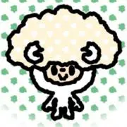 Jachapin