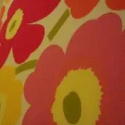 Kosukeの画像