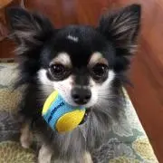 日々感謝！