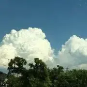 たろ吉の画像