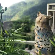 しばねこの画像