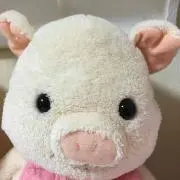 みらいの画像