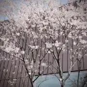 wadaru＊プロフ必読お願いします。の画像
