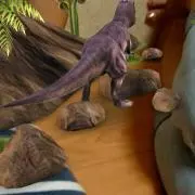 りーちゃんの画像