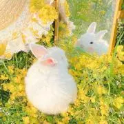 つむぎの画像