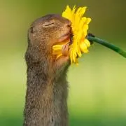 なななこーひー