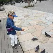 ハルたんレンたん