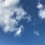 Yasu
