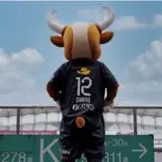 ぴーちゃん(•ө•)の画像