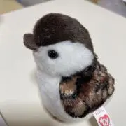 さゆりの画像