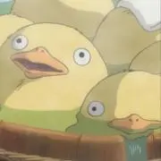 コンの画像