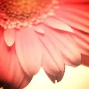 りんれんmam☆プロフ御一読ください‼︎