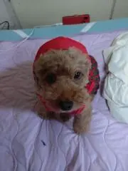 らら(⁠◕⁠ᴗ⁠◕⁠✿⁠)