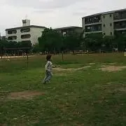 とゆの画像