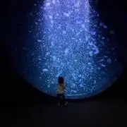 チョコエッグ⭐︎プロフ必読⭐︎の画像