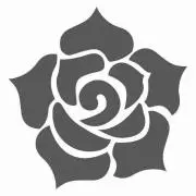 フランソワの画像