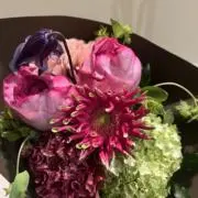 L L Lの画像