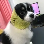 ♡