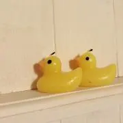 ピヨ