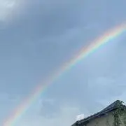 kiriの画像