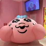 断捨離したいの画像
