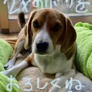 コラムクラブの画像