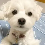 のんきさ