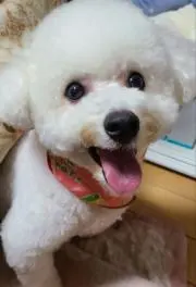 モカちゃんの画像