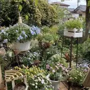 のぐの画像