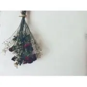 katoの画像