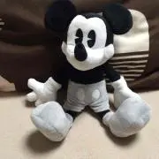 Sho