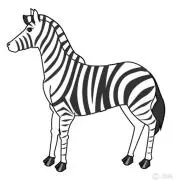 断捨離中の画像