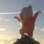 kuro-pooh