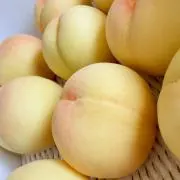 もーもーの画像