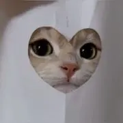 mu.の画像