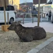 もん めたの画像