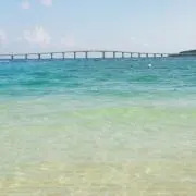 るるの画像