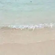 ドンコダの画像