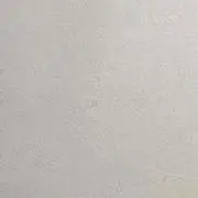 ナナ