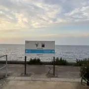 にんにくの画像