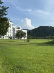 ファルークの画像