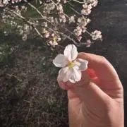おおおの画像