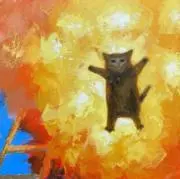 にゃふの画像