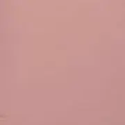 niinaの画像