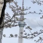まーちの画像