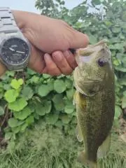 けーすけ