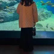 Tの画像