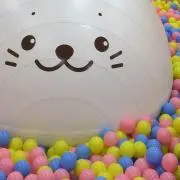 HAPPY☆の画像