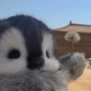 ikura.o3の画像
