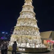 なつの画像